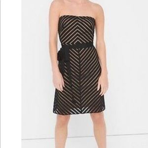 WHBM Strapless Shadow Stripe Dress👠💄